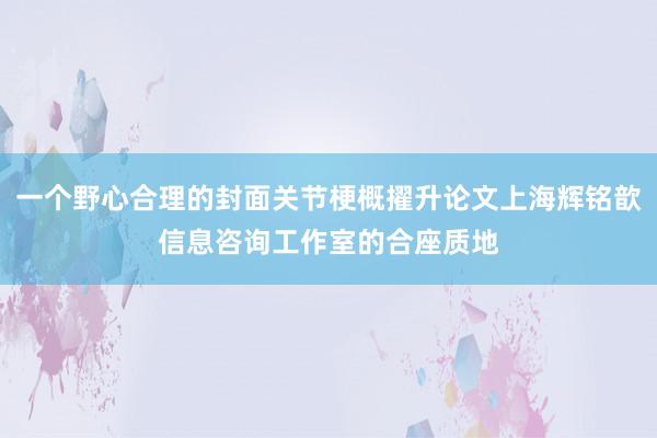 一个野心合理的封面关节梗概擢升论文上海辉铭歆信息咨询工作室的合座质地